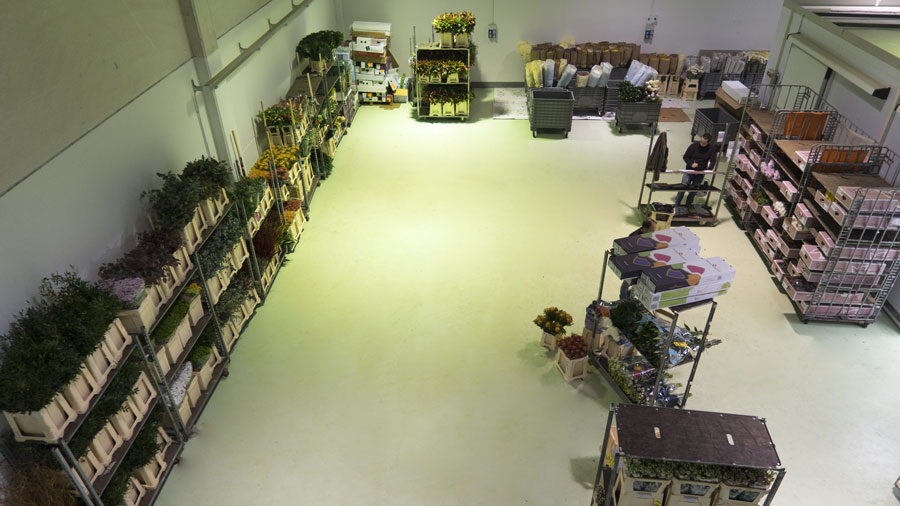 Interno del capannone di Deraflowers, vendita all'ingrosso di piante e fiori recisi a Torino.