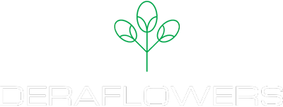 Logo Deraflowers di Deramo Nicola, ingrosso fiori recisi a Torino