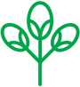 Logo di Deraflowers, vendita all'ingrosso di piante e fiori recisi in Piemonte e Valle d'Aosta.
